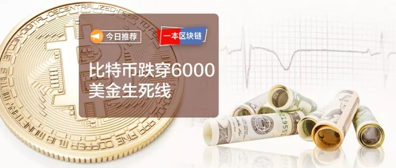 九游会-Polkadot遭遇大幅下滑超405%，投资者恐慌性抛售