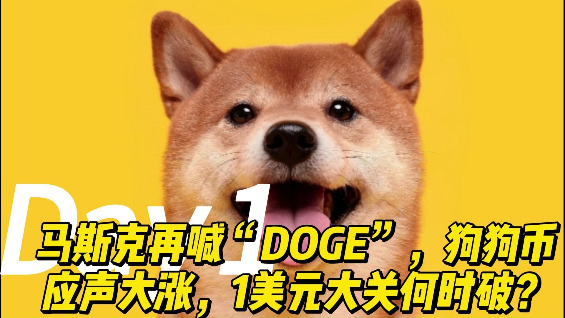九游会-专家称狗狗币将在年底冲破25.58美元，引发引发关注，震惊市场