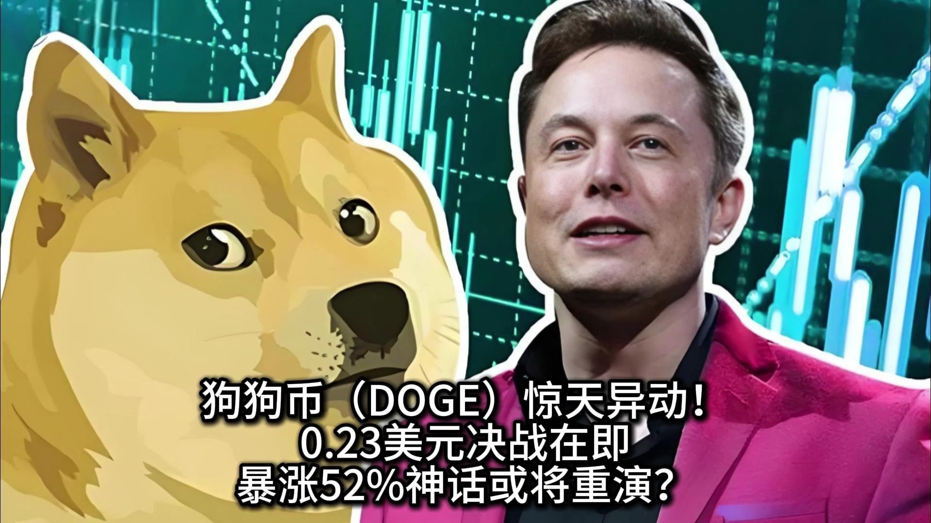 专家称狗狗币将在年底冲破USDT美元，引发引发关注的简单介绍