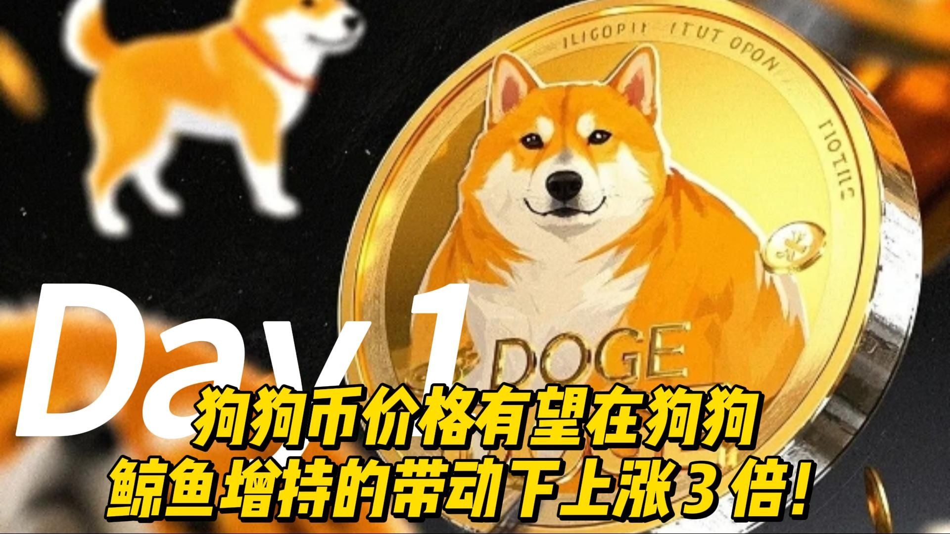 九游-狗狗币空投即将开始，参与用户将获10枚代币的简单介绍