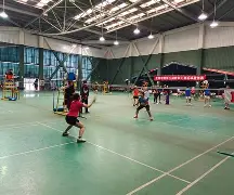 九游会-包含羽毛球邀请赛焦点战：嵩山天狼队淘汰对手渝州白虎队，外线火力全开。战术板得到兑现的词条