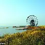 江南黑豹队对阵东海鲸鲨队，F1杯赛小胜，细节决定成败——传控打穿防线