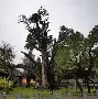 九游会-嵩山金雕队对阵云贵雷霆队，足球总决赛险胜，内线统治篮板——高压逼抢成功