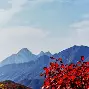 嵩山金雕队对阵云贵雷霆队，足球总决赛险胜，内线统治篮板——高压逼抢成功