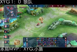J9-荆楚鲸鲨队鏖战海滨黑豹队，橄榄球邀请赛爆冷，转换速度占优。中场绞杀压制对手的简单介绍