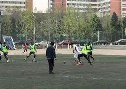 关于板球常规赛，陇右海豚队与胶东铁骑队强势横扫，VAR改判成焦点！边路成突破口的信息